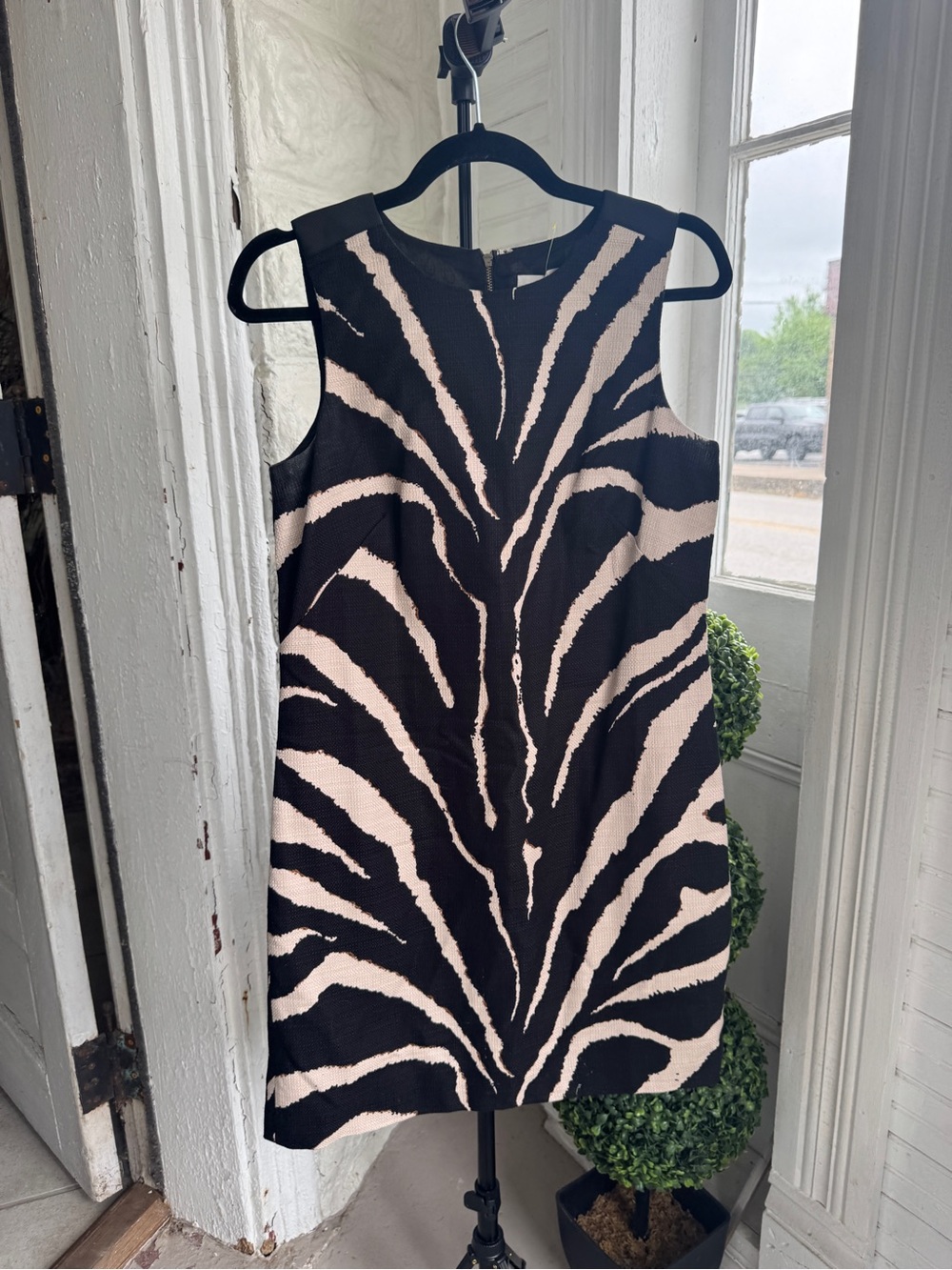 Ann Taylor Black and Cream Zebra-Print Mini Dress